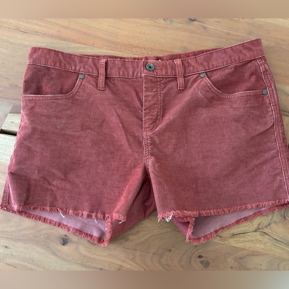 Carve Designs Shorts